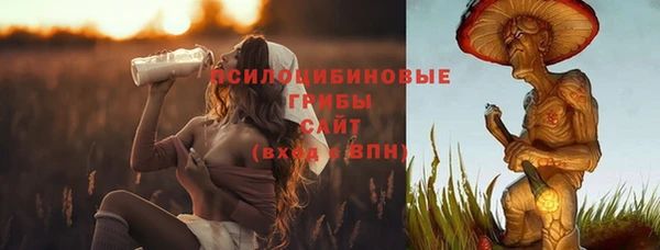 гашик Алексеевка