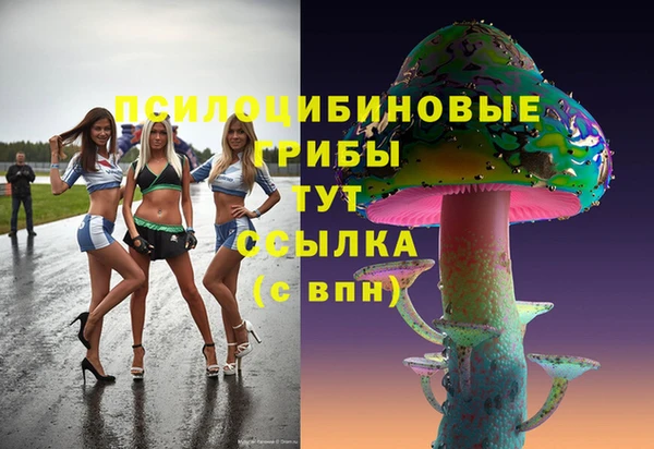 соль ск Алексин