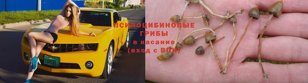 соль ск Алексин