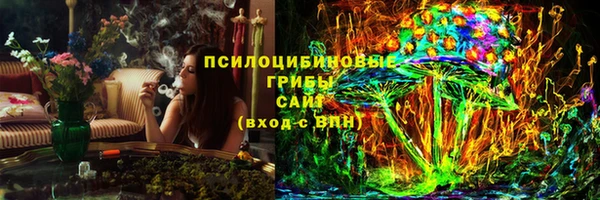 гашик Алексеевка