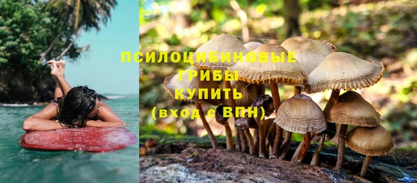 скорость Алзамай