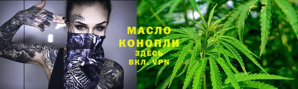 соль ск Алексин