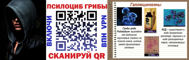 кракен   сколько стоит  Комсомольск  Псилоцибиновые грибы MAGIC MUSHROOMS 